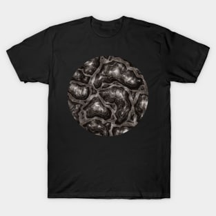 TERRA (MONOCHROME) T-Shirt